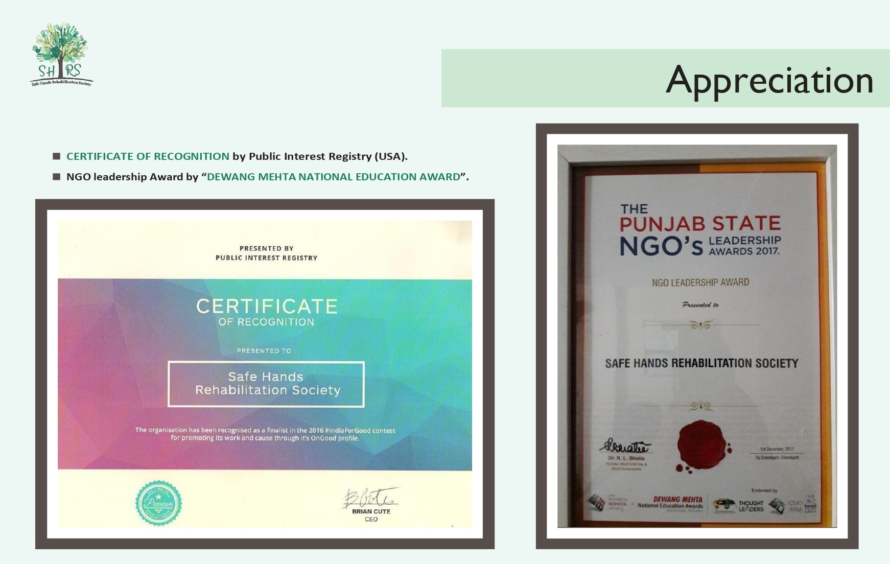 Special children olympics collage