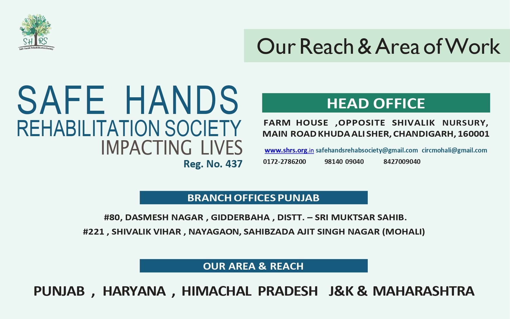 Special children events collage